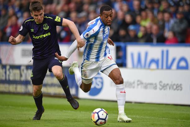 蜂找到空隙 蜂找到空隙